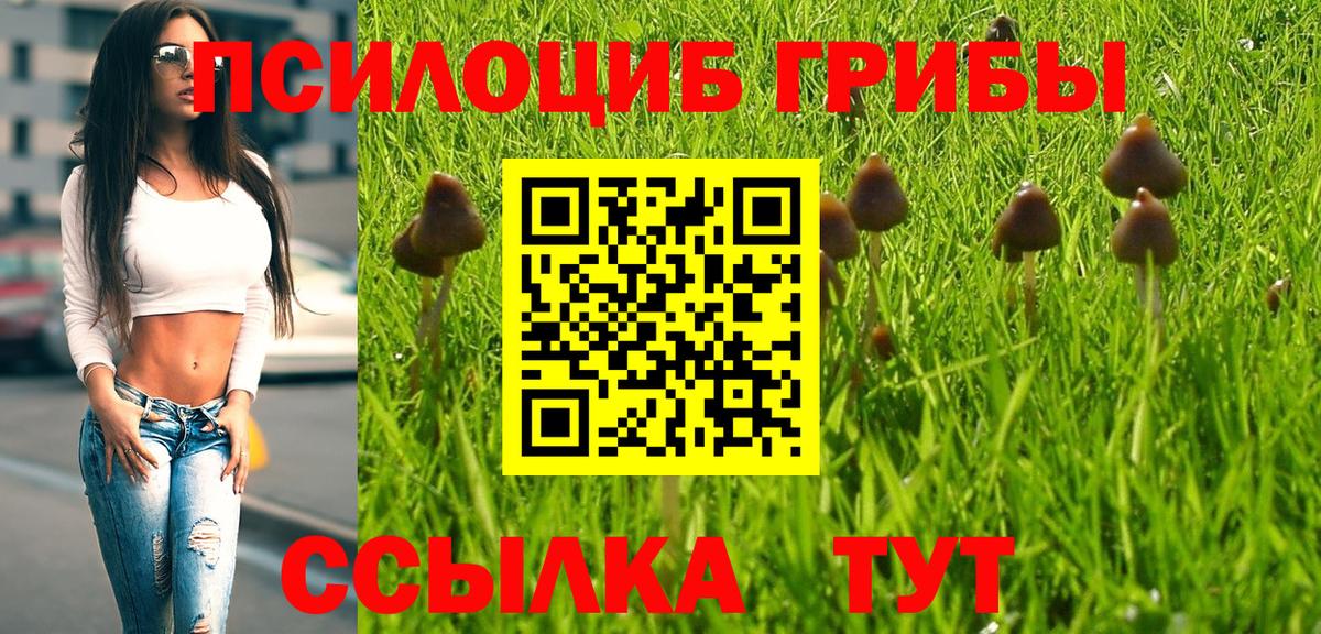 Чернушка  Псилоцибиновые грибы Cubensis  Галлюциногенные грибы Psilocybine cubensis  Вход с VPN 