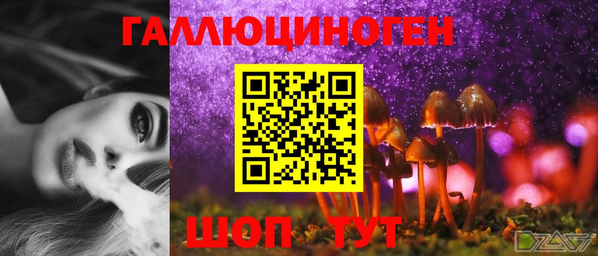 Галлюциногенные грибы MAGIC MUSHROOMS Чернушка